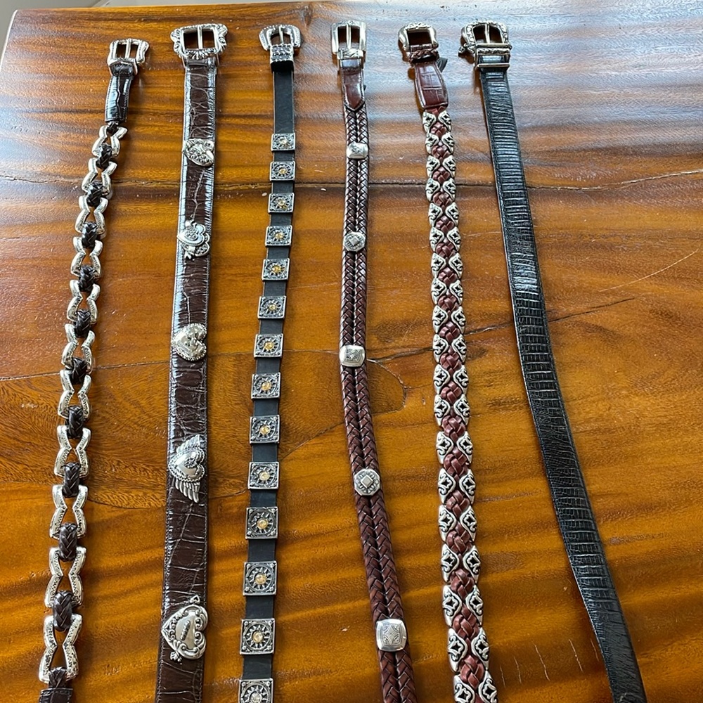 6 Beautiful Brighton Belts